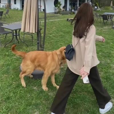 无名三侠客